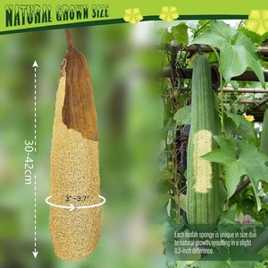 Whole Natural Organic Loofah <b>Sponges</b> Exfoliating <b>Shower</b> Bath Loofah Luffa Body <b>Sponge</b> for SPA Beauty Skin Care about 30-40cm - Product Image 6