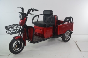 Xe điện bán chạy nhất thế giới, vận chuyển hàng hóa, hành khách hai mục đích giải trí điện ba bánh, xe đặc biệt dành cho người lớn - Product Image 3