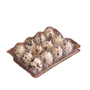 Best Quality China Manufacturer 24 Cells Blister 12 Egg Tray Mold