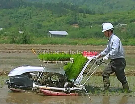 新しいタイプの手押しの米の種プランター手移植機プッシュシーダー農業機器田植え機