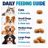Comprimés multivitaminés pour animaux de compagnie en marque privée pour chiens et chats, formule 10 en 1 avec glucosamine, taurine, probiotiques, oméga 3