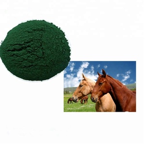 Spiruline d'algues organiques naturelles d'algues de haute qualité fabriquée en Chine à vendre - Product Image 6