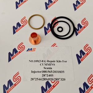 Kit di riparazione n. 109(2-8a) per CUMMINS Scania inijtor1881565/2031835/ 2872405/ 2872544/2894920/2897320 - Product Image 2