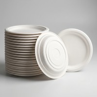 Assiettes compostables non blanchies de qualité supérieure, durables, robustes, vaisselle de pique-nique, vaisselle ronde durable