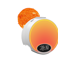 Projecteur LED 13 en 1 de luxe pour décoration d'intérieur Mini veilleuse USB avec minuterie Matériau ABS Planétarium Ciel étoilé Lampes