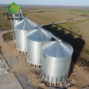 Grand silo à grains professionnel SolisFer en acier galvanisé, assemblé par boulons, pour le <span class=keywords><strong>stockage</strong></span> <span class=keywords><strong>de</strong></span> céréales et d'aliments, capacité 150-10000 tonnes - Product Image 6