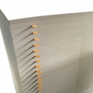 Fabricación de papel estucado brillante de 250 g/m² para folletos corporativos en el mercado brasileño - Product Image 1