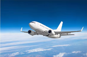 Spedizione Internazionale LCL DDP Rapida via Aerea, Arrivo in 6-10 Giorni DE/Germania, Dropshipping FBA, Magazzino Oltremare, Assicurazione 24/7 - Product Image 5