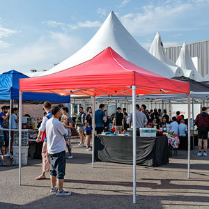 Tentes personnalisées pour l'événement Gazebo 3x3m 420D revêtement argent couverture de toit Oxford imperméable tente publicitaire pop-up extérieure - Product Image 3