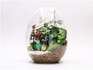 <span class=keywords><strong>Bouteille</strong></span> <span class=keywords><strong>en</strong></span> <span class=keywords><strong>verre</strong></span> créative <span class=keywords><strong>en</strong></span> forme de gros œuf, vase <span class=keywords><strong>en</strong></span> <span class=keywords><strong>verre</strong></span> pour plantes succulentes, micro-paysage, <span class=keywords><strong>bouteille</strong></span> de mousse - Product Image 4