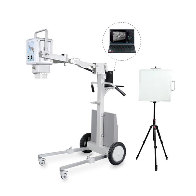 YSX100-PE VET Portable 10KW Veterinary X-ray Machine Digital Flat Panel Detector for Dog Diagnosis & Injection