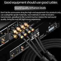 Câble audio pour haut-parleurs ERUMPENT Hifi OCC en cuivre pur plaqué argent et or, connecteur banane/Y, pour utilisation en voiture, CE pour PVC