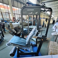 Nouveau design 2026 en promotion : Appareil de fitness commercial à charge par pignon pour flexions de jambes horizontales