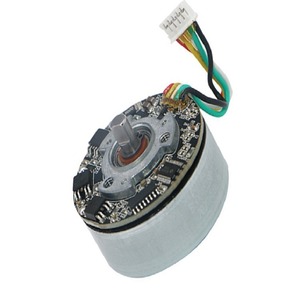5530 Brushless Dc <b>Motor</b> 36V High Torque Quiet Pwm Speed <b>Control</b> For Water Pump Retrofit Upgrade - Product Image 1
