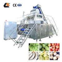 1-20T/H Hoge Productiviteit Stoomschilmachine voor Knoflook, Fruit & Groenten (Perzik, Appel, Banaan)