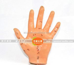 Modelo de Mão para Acupuntura Chinesa 13cm Modelo de Ponto de Acupuntura do Corpo Humano - Product Image 3