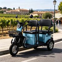 Tricycle Électrique à Double Siège 500W 48V, Vélo à Trois Roues pour Passagers en Acier Carbone avec Moteur Brushless pour Trajets Quotidien