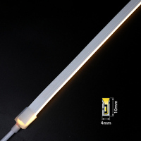 Vente directe d'usine, néon régulier, rouleau de 5 mètres, 10 mètres, 12v 24v, bande lumineuse LED néon flexible, ultra-mince, blanche, flexible