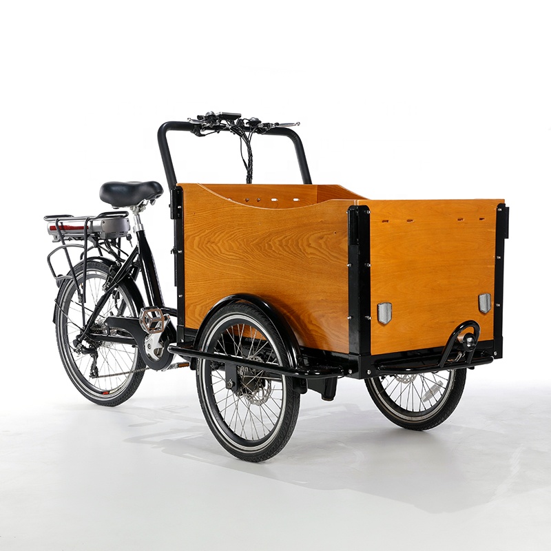 電動三輪車 大人用 カーゴバイク リカンベントトライク 小型