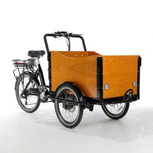 Tricycle électrique pour adultes, <span class=keywords><strong>vélo</strong></span> <span class=keywords><strong>cargo</strong></span>, trike <span class=keywords><strong>couché</strong></span>, petite promotion, <span class=keywords><strong>vélo</strong></span> publicitaire - Product Image 3