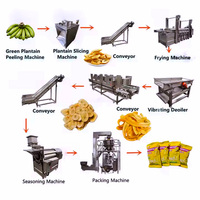 Volledig automatische commerciële grootschalige productielijn voor bananenchips en -crisps