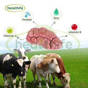 Healthife New Zealand cỏ thức ăn bò Organ bột thịt bò thận chiết xuất bột - Product Image 3