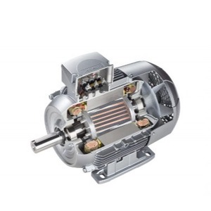 Motores AC MOLL-MOTOR para bandas transportadoras y bombas de uso industrial - Product Image 4