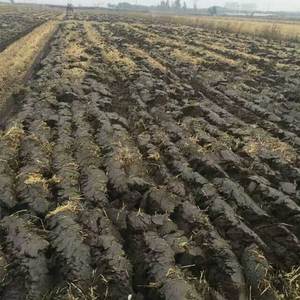 แผ่นไถนาแบบขับเคลื่อนด้วยลำแสงสำหรับการเกษตร - Product Image 2