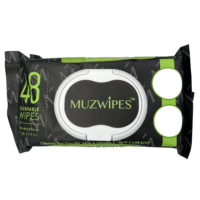 48 Lingettes Humides Antibactériennes Jetables pour l'Hygiène Personnelle Domestique, les Règles et l'Utilisation en Toilette