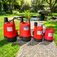 Pompa Submersible 80-400W yang Dapat Disesuaikan OEM untuk Penghapusan Air Bersih dan Kotor, Pompa Pembuangan Listrik untuk Kolam Renang dan Taman