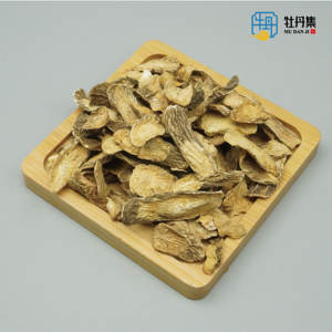 Bardana <span class=keywords><strong>Root</strong></span> <span class=keywords><strong>Niu</strong></span> <span class=keywords><strong>Bang</strong></span> <span class=keywords><strong>Gen</strong></span> Secas Erva Chinesa Alta Qualidade Exportação Fábrica Directsale Chá Melhor Preço - Product Image 5