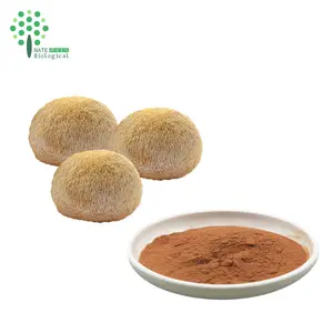 Organic Lions Mane Dual Extract Bulk Powder Erinacine Triterpenes