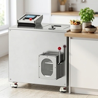 Broyeur de déchets alimentaires professionnel 50 kg/jour en acier inoxydable pour grandes chaînes de restaurants