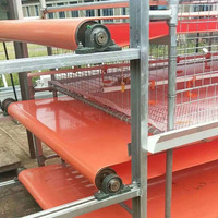 Bande transporteuse en PVC résistant aux hautes températures pour l'évacuation automatique du fumier de volaille (poulet, canard, oie, caille, dinde)