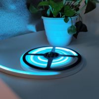 La bande lumineuse au néon personnalisée Offre Spéciale DC12V IP67 imperméabilisent les lumières LED intelligentes extérieures de 3535 SMD