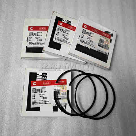 Cummins 6CT 6CT8.3 6C8.3 Engine Piston 3925878 3926246 3802601 3802569 ...