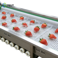 Knoflookwortel- en modderverwijderingsmachine Knoflook hogedruk-belreinigingsmachine