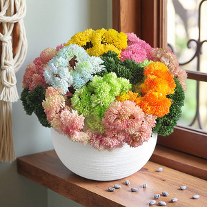 Arrangement de fleurs artificielles Yoshinobu, succulentes réalistes en caoutchouc souple, ornement de bureau pour la décoration de la maison et de l'hôtel - Product Image 1
