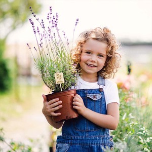 Không thích hợp Vườn Cổ phần thảo mộc vườn đánh dấu nhà máy Vườn Ươm nhãn Cây Giống Hoa nhận dạng nhà máy bằng gỗ nhãn dấu hiệu - Product Image 5