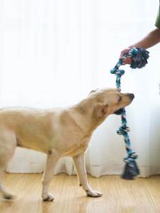 Interaktif köpek oyuncak büyük pamuk halat Tugger 5-Section büküm Chew oyuncak klasik Pet Molar eğlenceli düğümlü halat oyuncak büyük köpekler için - Product Image 3