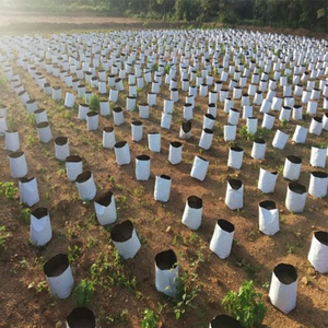 Pequeñas bolsas de plantación Bolsa de cultivo de polietileno de plástico para jardines de plantas - Product Image 1