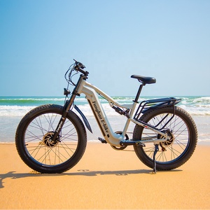 Offre Spéciale adultes montent sur le gros pneu <span class=keywords><strong>vélo</strong></span> de course <span class=keywords><strong>électrique</strong></span> 26 pouces City Ele Ctric pour la <span class=keywords><strong>promotion</strong></span> de Noël pour adulte - Product Image 3