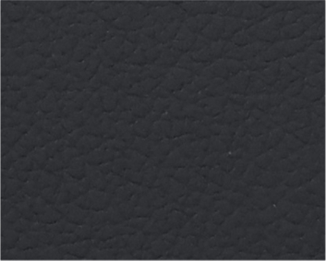 MB-10 Black Beauty 19-3911 TPG