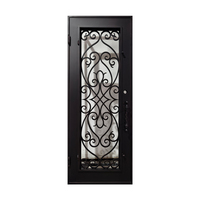 Portes simples en fer forgé de haute qualité, double vitrage trempé, fibre de verre, prévention des incendies, design moderne, extérieur