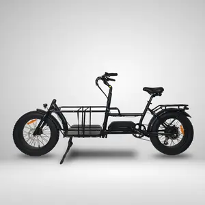 2024 Latest 500W/750W Electric Cargo Bike CE Certification Utility Electric Bicycle Families 48V Lithium Battery Power Supply