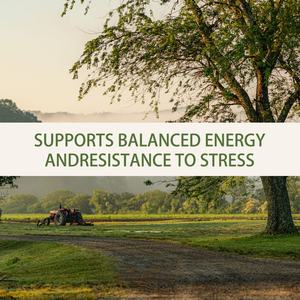 Extractos de Ashwagandha Premium para Aliviar el Estrés y Mejorar el Estado de Ánimo en Mujeres y Hombres, Suplemento de Ashwagandha - Product Image 6