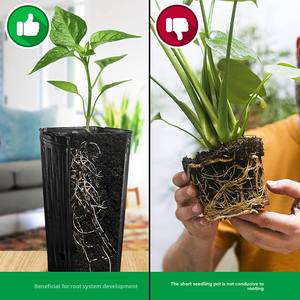 Pots de plantation noirs jetables pour semis d'<span class=keywords><strong>agrumes</strong></span>, de forme rectangulaire élancée, à ouverture épaissie et plus hauts, pour <span class=keywords><strong>pépinière</strong></span> domestique - Product Image 4