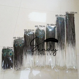 Vente en gros 25-140cm plumes <span class=keywords><strong>de</strong></span> <span class=keywords><strong>paon</strong></span> naturelles plumes <span class=keywords><strong>de</strong></span> queues <span class=keywords><strong>de</strong></span> <span class=keywords><strong>paon</strong></span> pour montage <span class=keywords><strong>de</strong></span> mouches, carnaval sac à dos Costume décorations pour la maison - Product Image 3