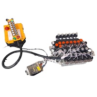 Vannes de commande directionnelles électro-hydrauliques RAYPOO 12V/24V P40, dispositif de commande à distance, pression 315 bar, débit 40 L/min