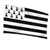 Drapeau de carnaval de Bretagne Bretagne personnalisé 3x5 pieds drapeaux imprimés pour concerts et décoration de chambre